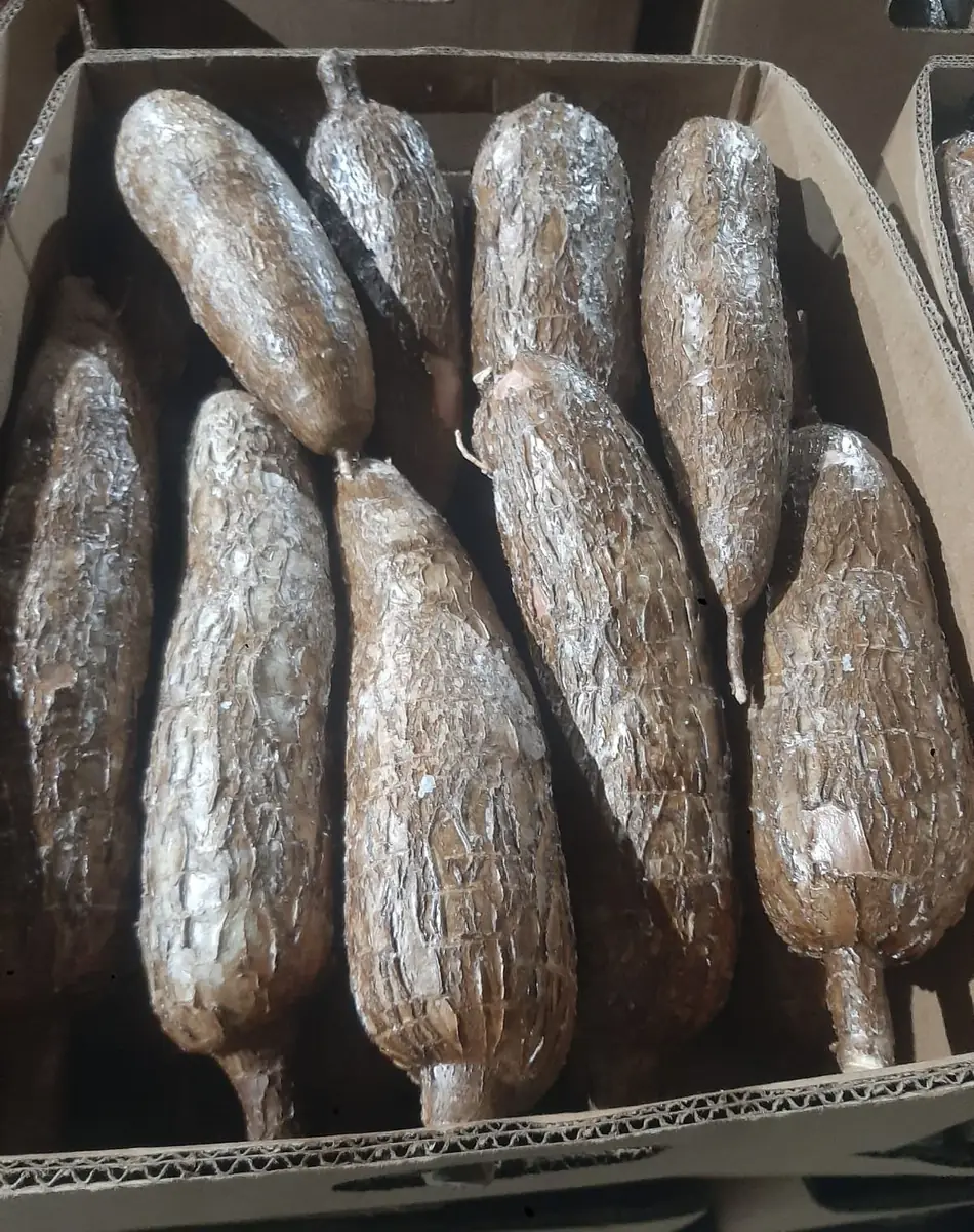 Yuca parafinada empacada en caja