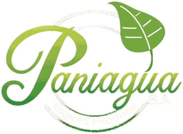 Paniagua S.A. Export Produce