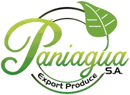 Paniagua S.A. Export Produce